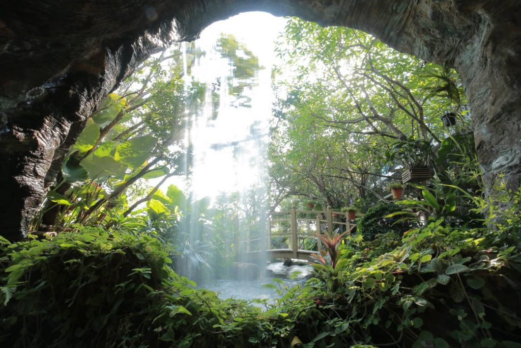 Cave and waterfall at the Innocent Perception Centre