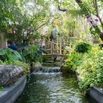 Meditation centre gardens