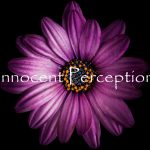 innocent perception